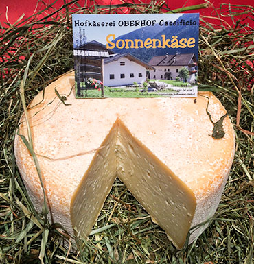 Formaggio del sole